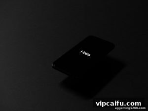 AG真人 vipcaifu