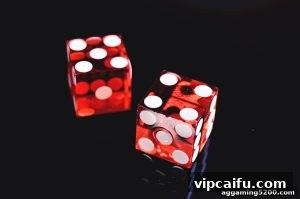 AG真人 vipcaifu